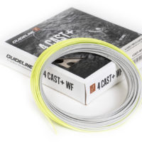 Guideline 4 Cast+ WF