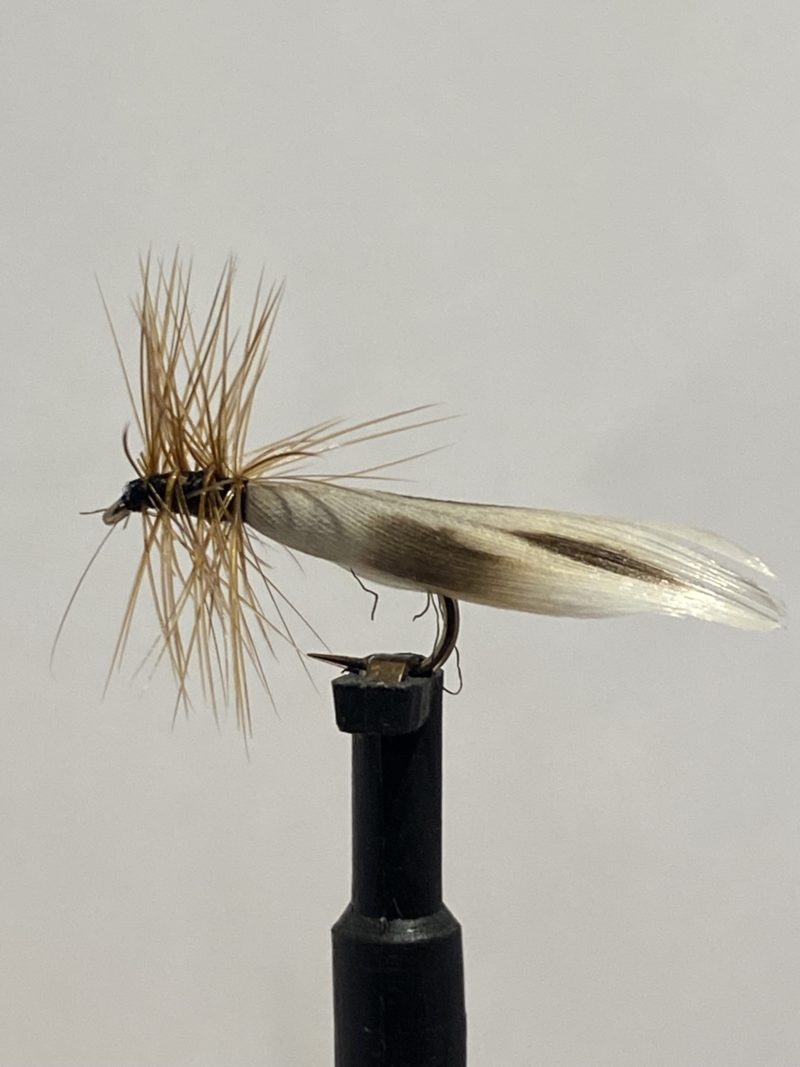 E-12 Swedish Model