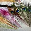 Frödin Peacook Eye Feather Pack - Bild 2