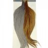 Whiting Combo Starter - Bild 4