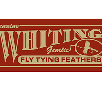 Whiting